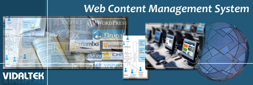 Web Content Management System - Vidaltek
